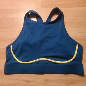 Fabletics Sports Bra
